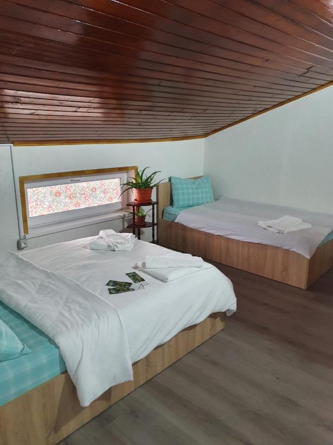 Casa Radu Hotel ทูลเซีย ภายนอก รูปภาพ